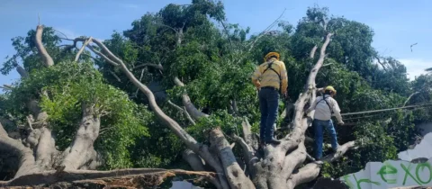 SSPC ATIENDE LOS EFECTOS GENERADOS POR EL TEMPORAL DE LLUVIAS